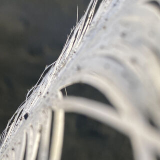 FLOW - new jewellery collection by virginiejg + co | 12-23 Sep 2023