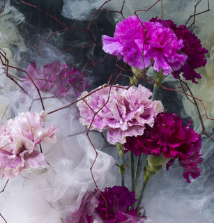 Immersed in Flowers