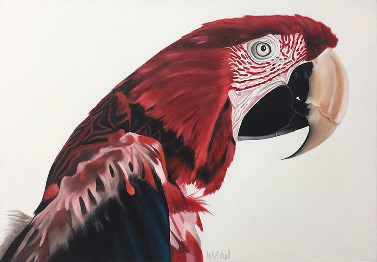 Jerry Red Macaw